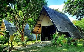 Cashewnut Tree Resort